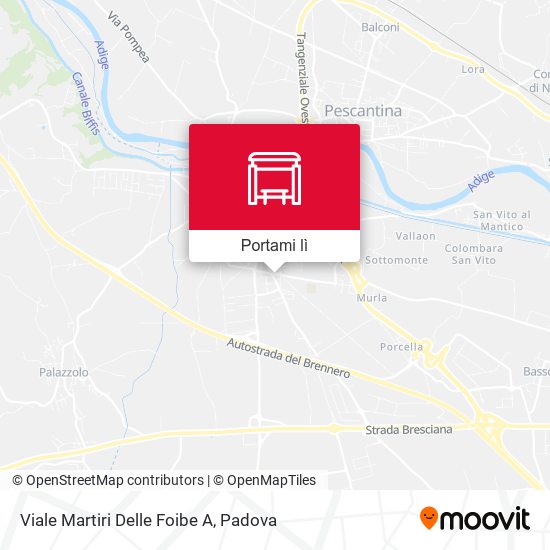 Mappa Viale Martiri Delle Foibe A