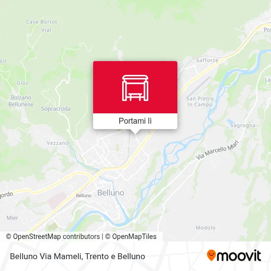 Mappa Belluno Via Mameli