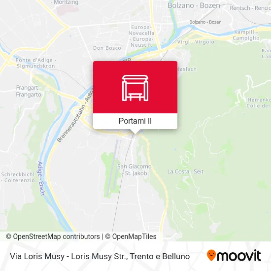 Mappa Via Loris Musy - Loris Musy Str.