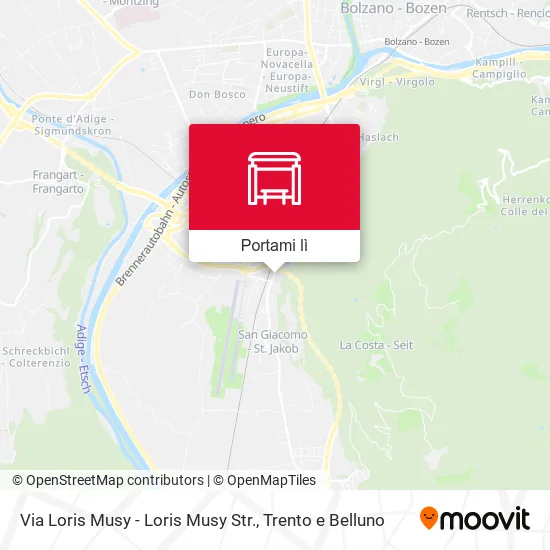 Mappa Via Loris Musy - Loris Musy Str.
