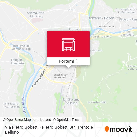 Mappa Via Pietro Gobetti - Pietro Gobetti Str.