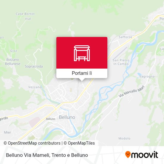 Mappa Belluno Via Mameli