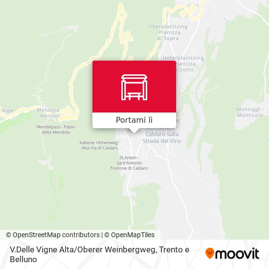 Mappa V.Delle Vigne Alta / Oberer Weinbergweg