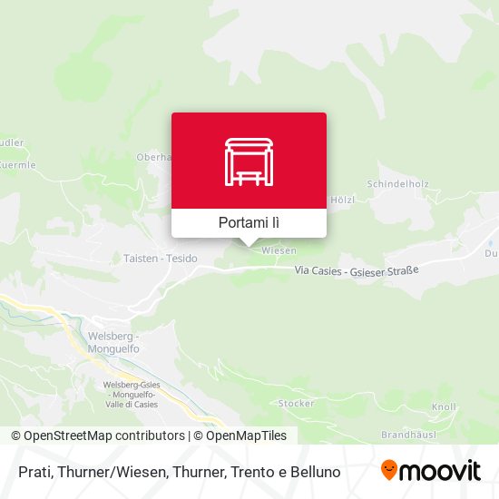 Mappa Prati, Thurner/Wiesen, Thurner