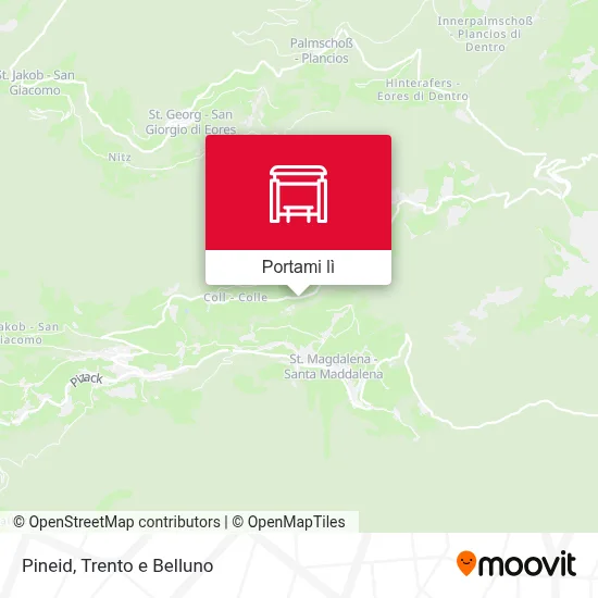 Mappa Pineid
