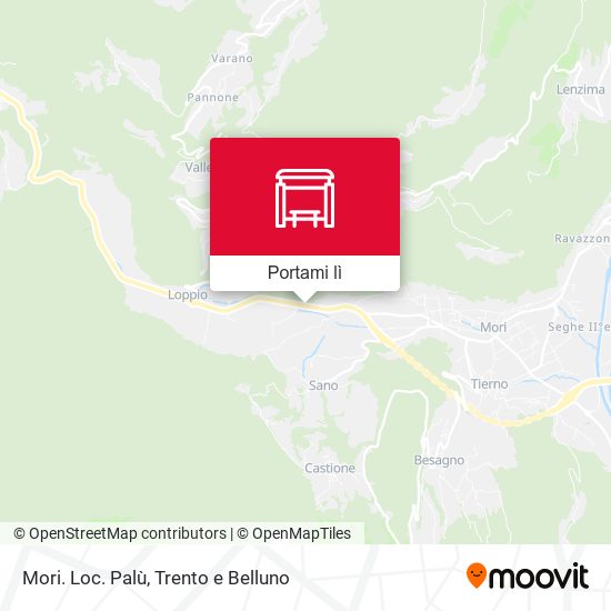 Mappa Mori. Loc. Palù