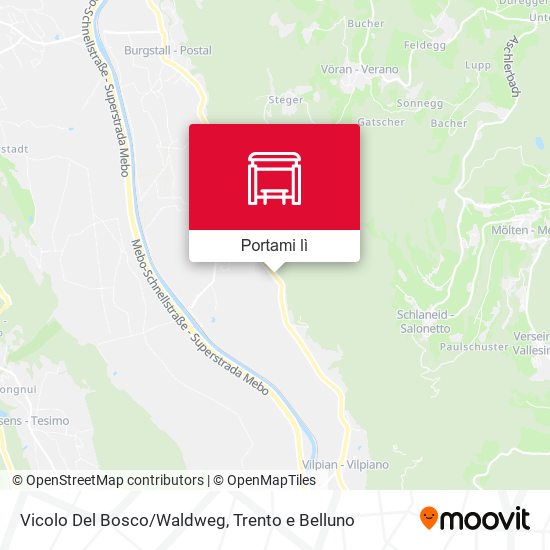 Mappa Vicolo Del Bosco/Waldweg