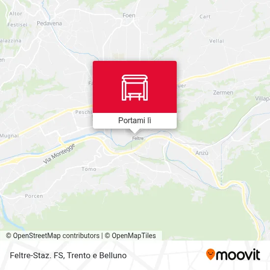 Mappa Feltre-Staz. FS