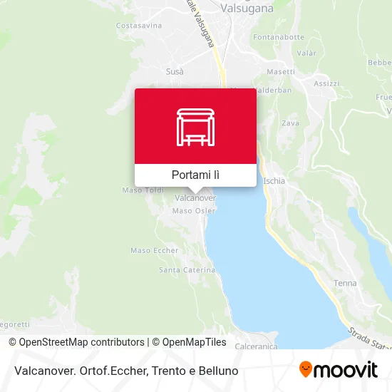 Mappa Valcanover. Ortof.Eccher