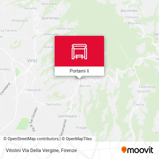 Mappa Vitolini Via Della Vergine