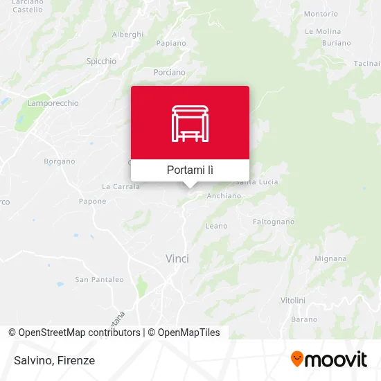 Mappa Salvino