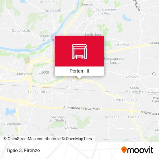 Mappa Tiglio 3