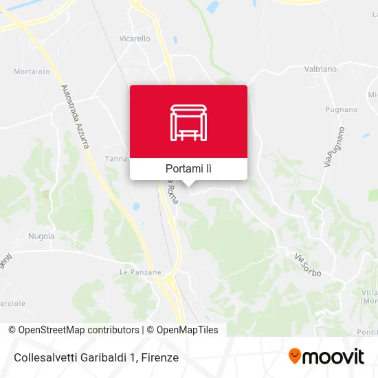 Mappa Collesalvetti Garibaldi 1