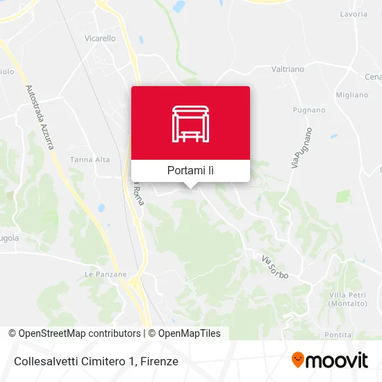 Mappa Collesalvetti Cimitero 1