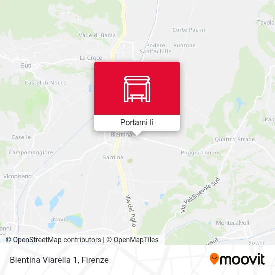 Mappa Bientina Viarella 1