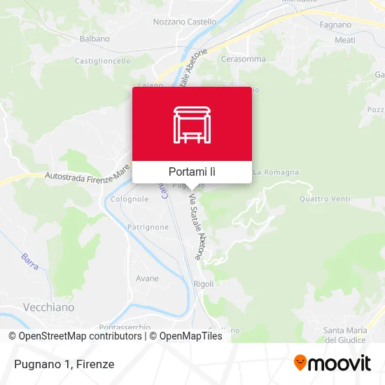 Mappa Pugnano 1