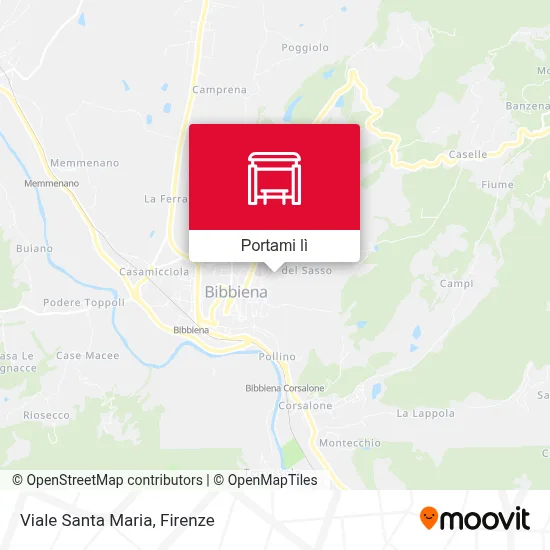 Mappa Viale Santa Maria