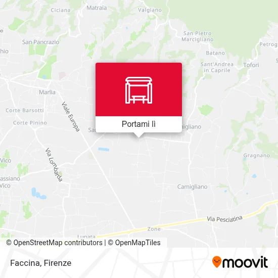 Mappa Faccina