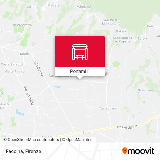 Mappa Faccina
