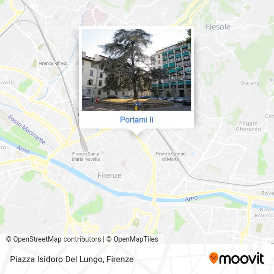 Mappa Piazza Isidoro Del Lungo