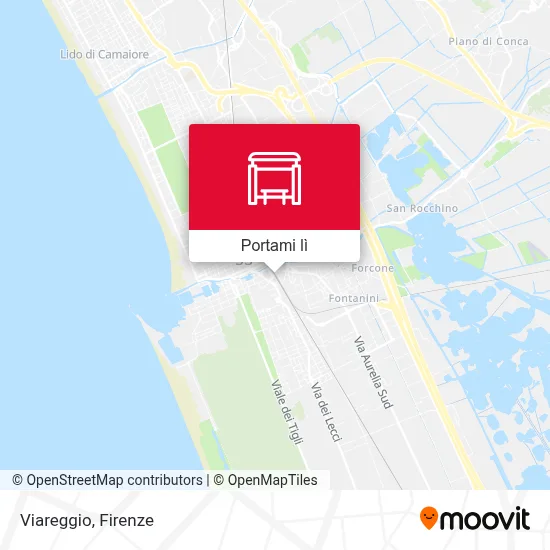 Mappa Viareggio