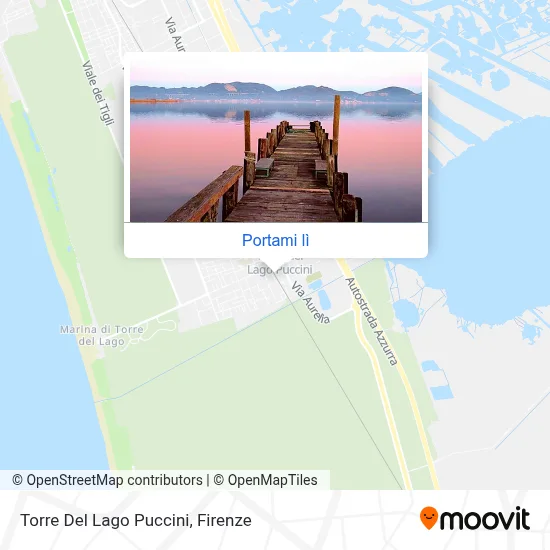 Mappa Torre Del Lago Puccini