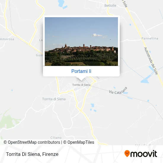 Mappa Torrita Di Siena