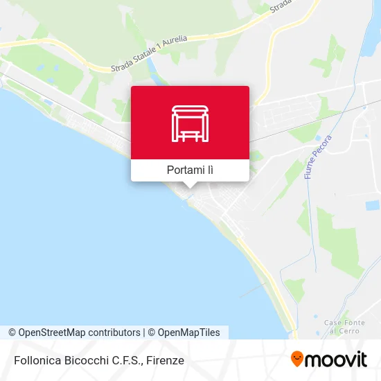 Mappa Follonica Bicocchi  C.F.S.