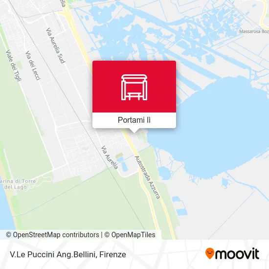 Mappa V.Le Puccini Ang.Bellini