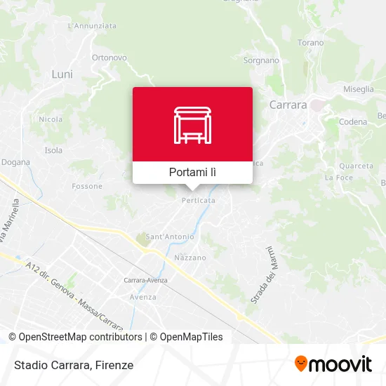 Mappa Stadio Carrara