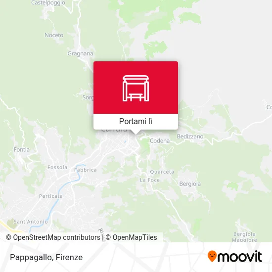 Mappa Pappagallo