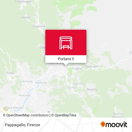 Mappa Pappagallo