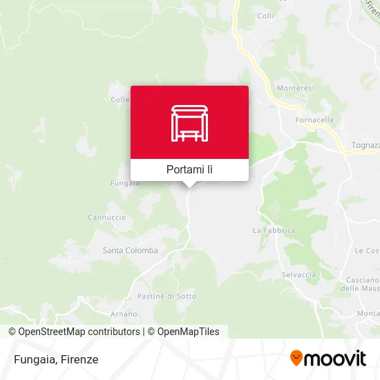 Mappa Fungaia