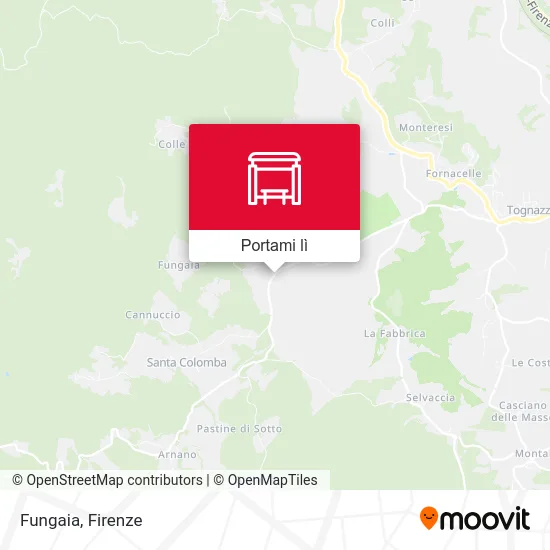 Mappa Fungaia
