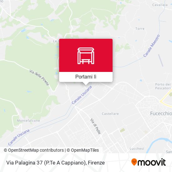 Mappa Via Palagina 37 (P.Te A Cappiano)