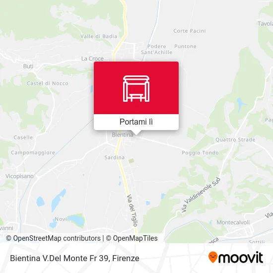 Mappa Bientina V.Del Monte Fr 39