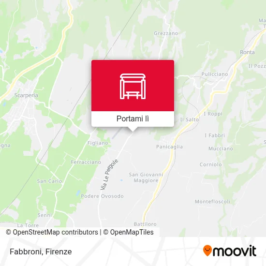Mappa Fabbroni