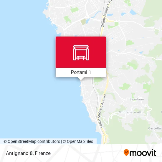 Mappa Antignano 8