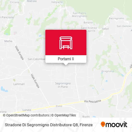 Mappa Stradone Di Segromigno Distributore Q8