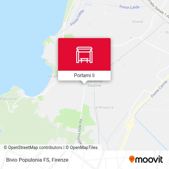 Mappa Bivio Populonia FS