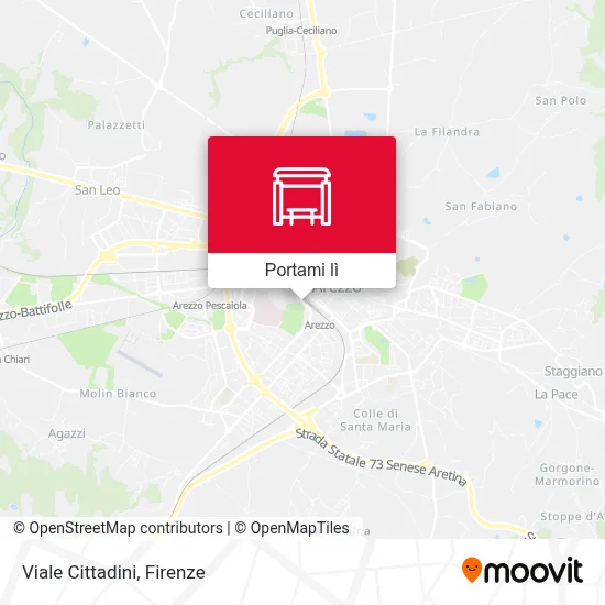 Mappa Viale Cittadini