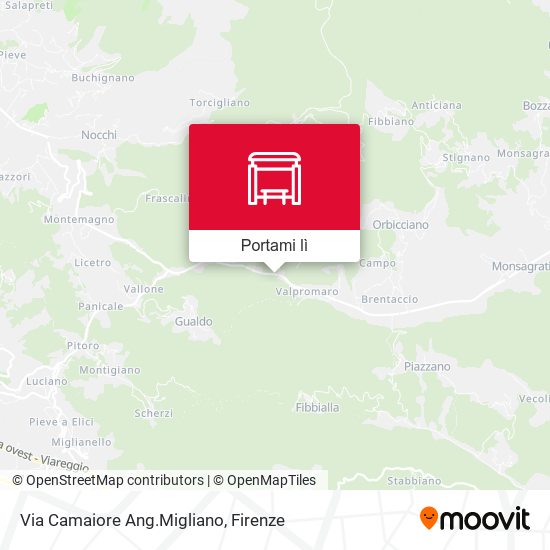 Mappa Via Camaiore Ang.Migliano