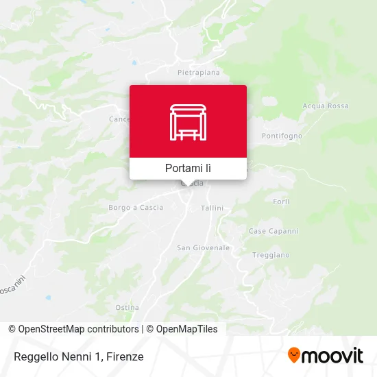 Mappa Reggello Nenni 1