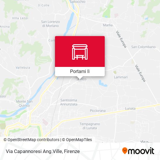 Mappa Via Capannoresi Ang.Ville