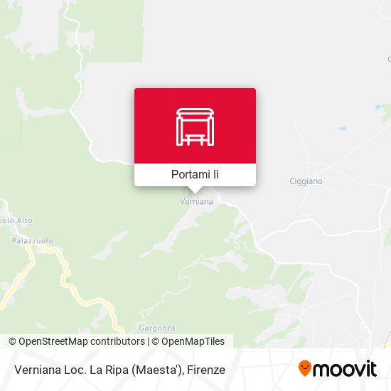 Mappa Verniana Loc. La Ripa (Maesta')