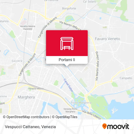 Mappa Vespucci Cattaneo