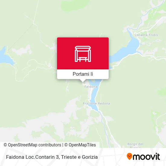Mappa Faidona Loc.Contarin 3