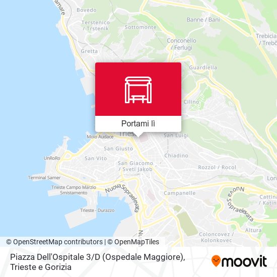 Mappa Piazza Dell'Ospitale 3 / D (Ospedale Maggiore)