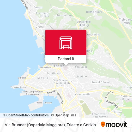 Mappa Via Brunner (Ospedale Maggiore)