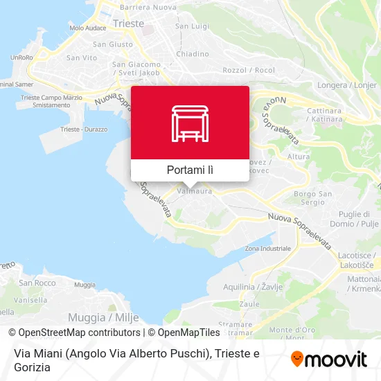 Mappa Via Miani (Angolo Via Alberto Puschi)